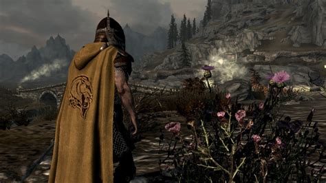 The best Skyrim mods to install in 2022 .